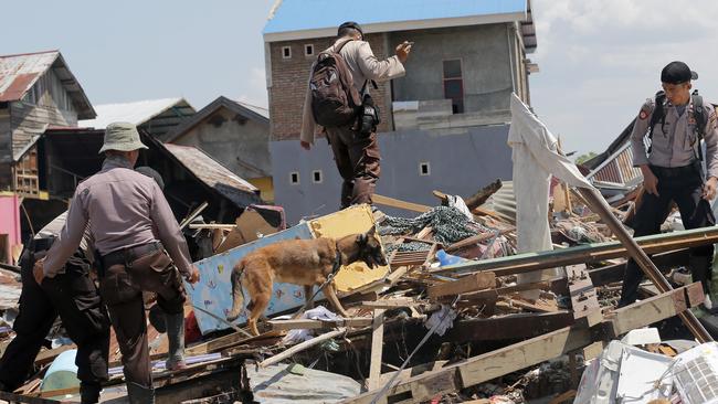 A police K9 unit continues to search for victims in the wreckage following earthquakes and tsunami in Palu, Central Sulawesi Indonesia, Wednesday, Oct. 3, 2018. Aid was slowly making its way into areas devastated by the earthquake and tsunami that struck a central Indonesian island, with one neighborhood's residents clapping, cheering and high-fiving in their excitement Wednesday at seeing a stopped truck laden with supplies. (AP Photo/Tatan Syuflana)