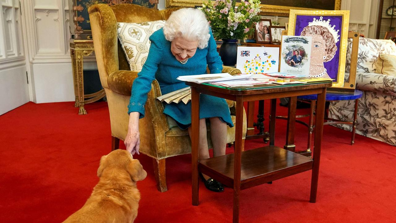 The Queen strokes Candy, her corgi, in the Oak Room at Windsor Castle. (Photo by Steve Parsons / POOL / AFP)