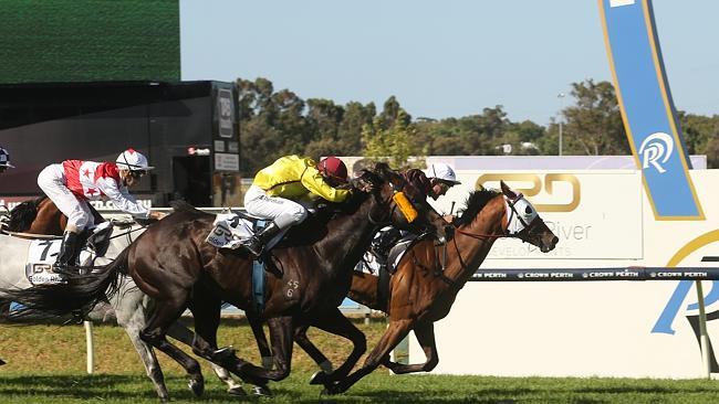 Black Tycoon, ridden by Damien Oliver, claims the Perth Cup. Picture: Bohdan Warchomij