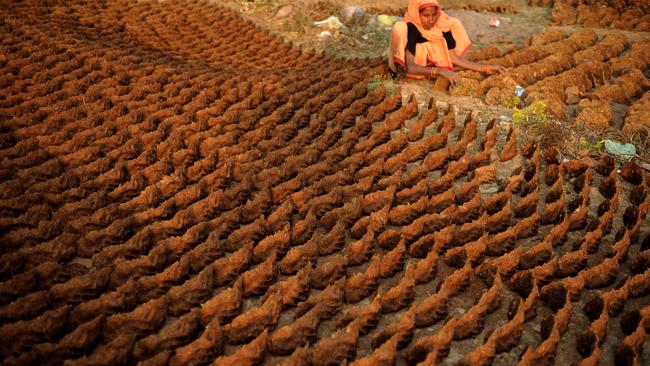 Cow dung cakes are a source of domestic fuel for rural households of India. Picture: AFP