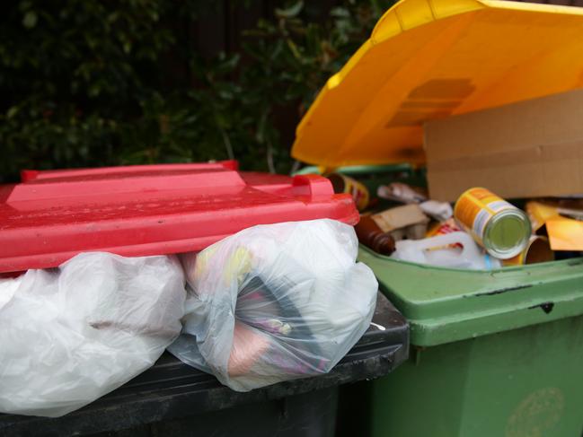 Danielle Jenner from South Penrith at her home. Penrith Council's rubbish service is causing headaches for residents who have to pay more if they want bigger bins or more frequent pick ups.