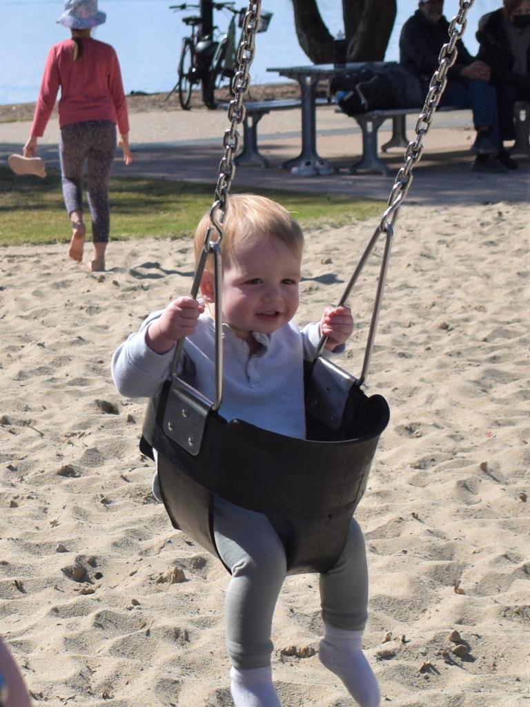 Archie at Cotton Tree. Picture: Kristen Camp.