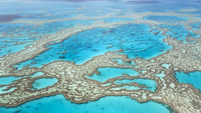 Australia has expressed its ‘grave concerns’ at the proposed ‘in danger’ listing for the Great Barrier Reef.