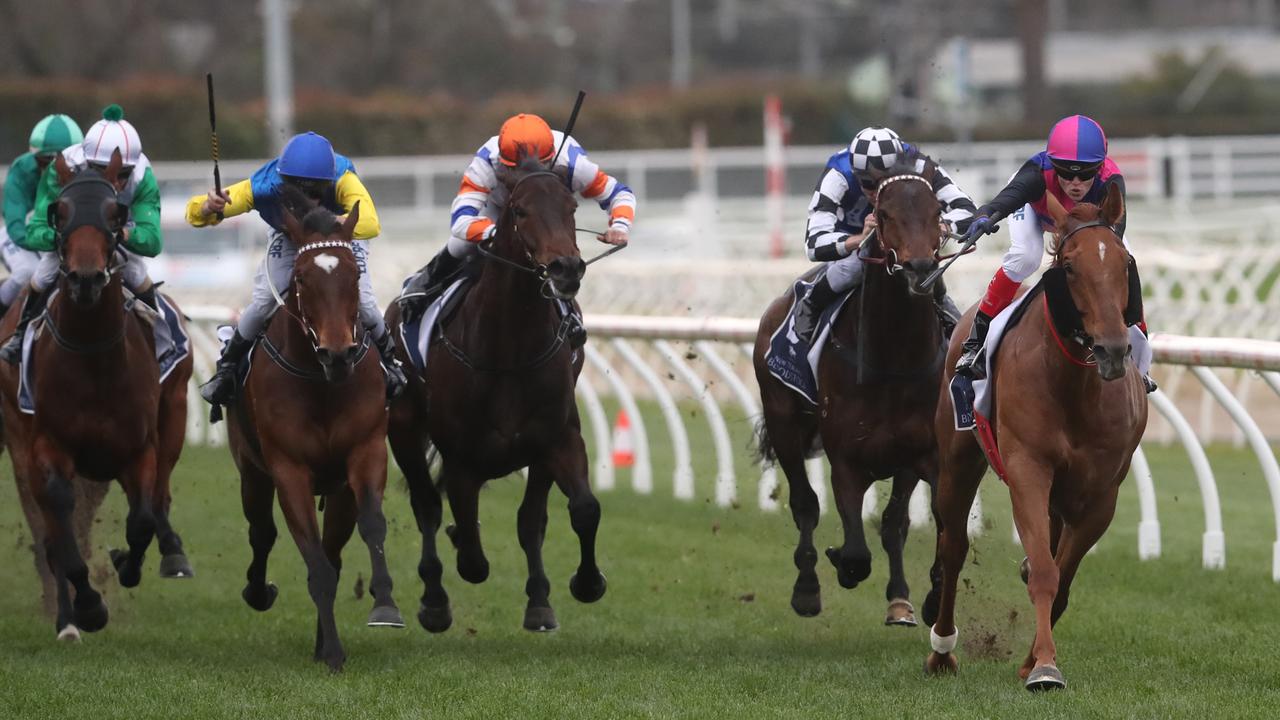 Photos All the action from the Seppelt Great Western Cup 2025 Herald Sun