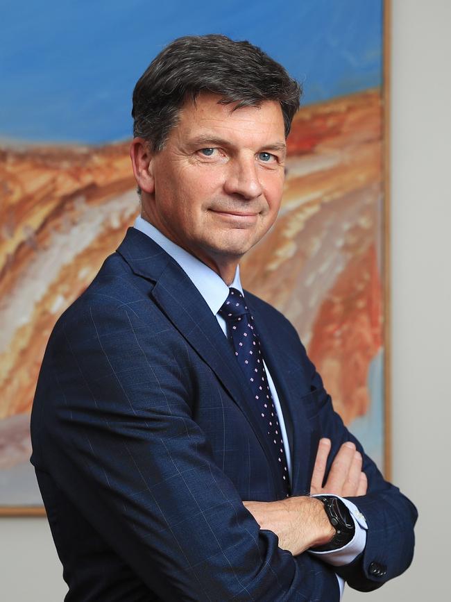 Angus Taylor, Minister for Industry, Energy and Emissions Reduction. Picture: John Feder/The Australian.