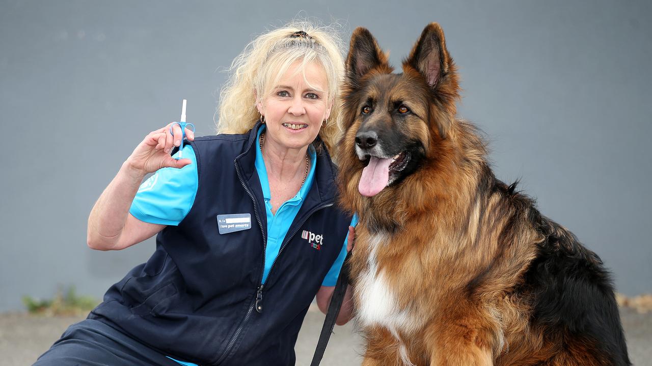 Petstock store microchipping 2019