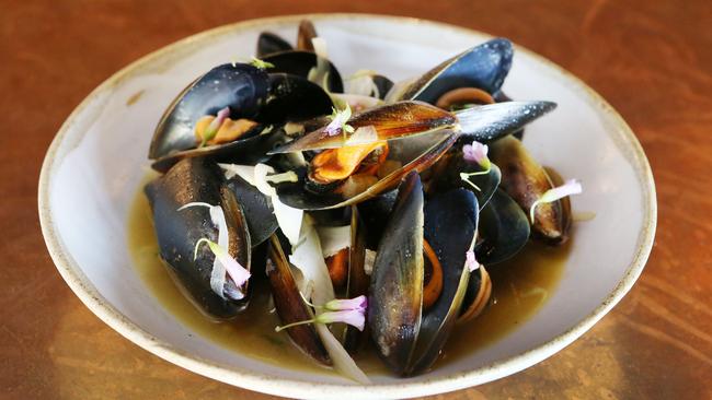 Mussels from Lupo, new restaurant at Mermaid Beach. Picture Glenn Hampson