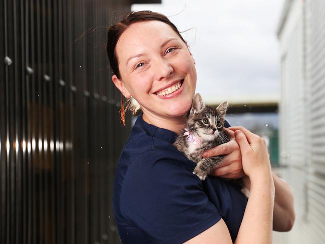 Ten Lives Cat Centre supervisor Alisha Tams with a rescue kitten. Picture: NIKKI DAVIS-JONES