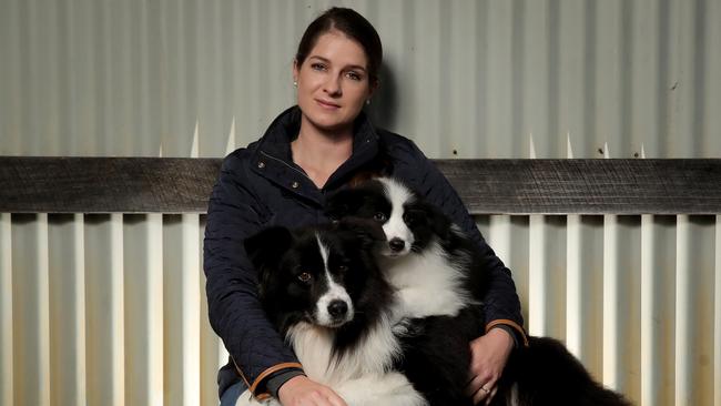 Ashlee Houlden with her border collie show dogs Sham and 12-week-old Kylo. Picture: Picture: Stuart McEvoy