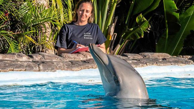 WELFARE CHECK: Dr Isabella Clegg at Dolphin Marine Conservation Park this week. Picture: TREVOR VEALE