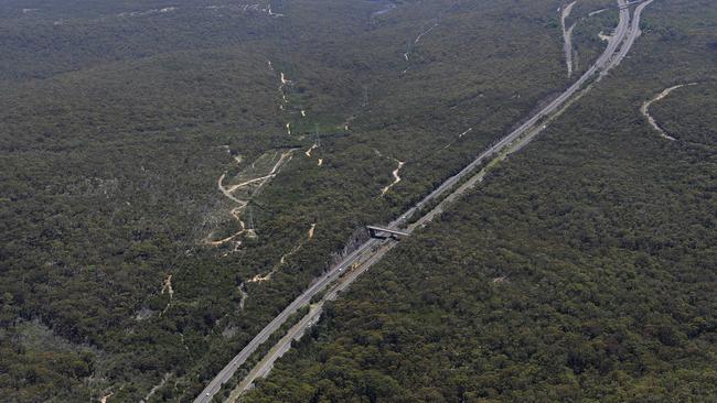 Tomovska was pulled over on the Princes Motorway near Helensburgh.