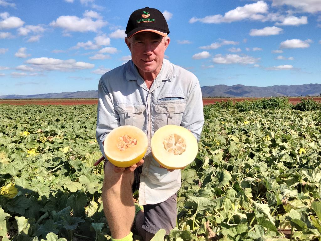 Shaun Jackson of Daintree Fresh at Lakeland. Picture: Supplied