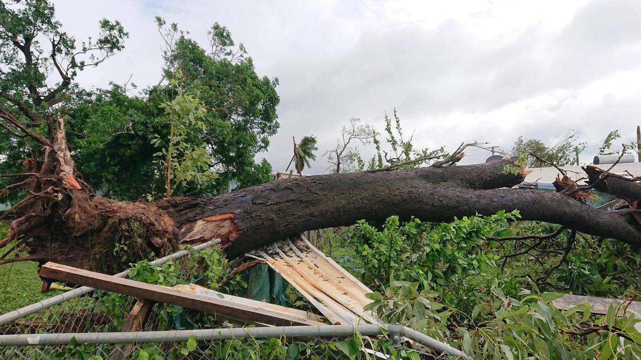 A large tree which fell through a fence in Lockhart River during Cyclone Trevor.