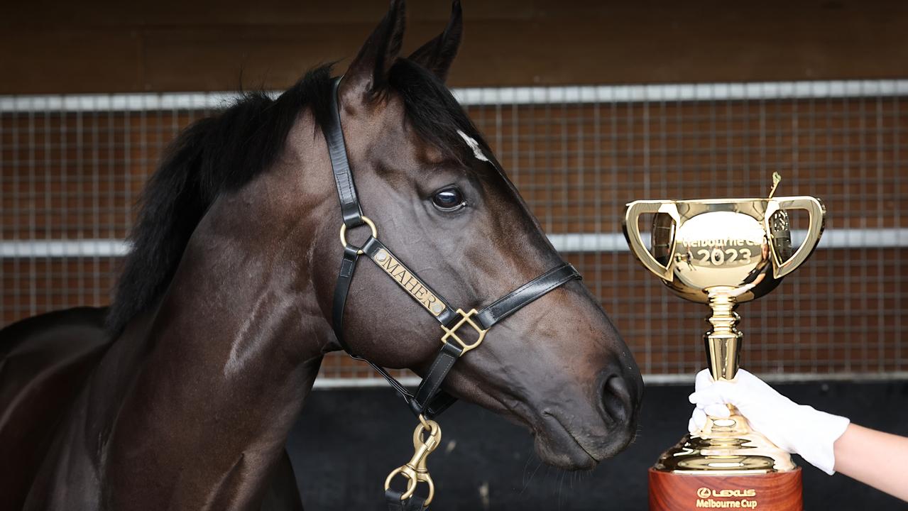 Melbourne Cup 2023 and Gold Trip