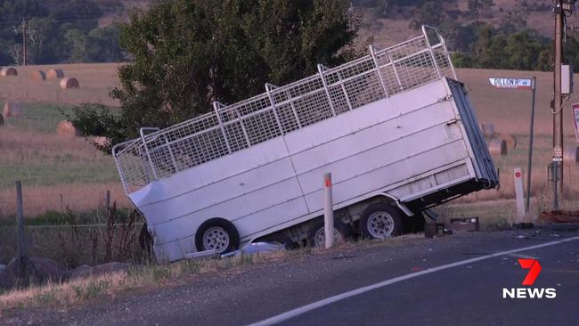 The trailer was carrying camels. Picture: 7NEWS