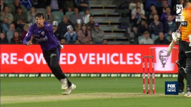 Paddy Dooley steals the show for the Hobart Hurricanes