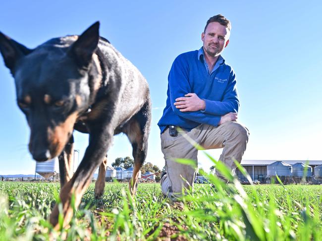 JULY 31, 2024: Bush Summit - Farmer James Heaslip and his dog Luna on his Apilla property in the stateÃs mid-north. Picture: Brenton Edwards