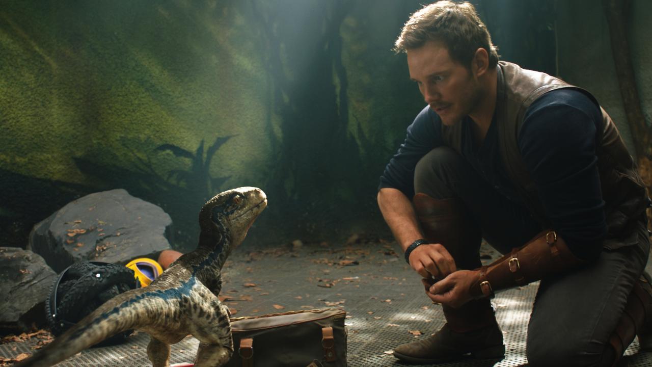 Chris Pratt meets a dinosaur in a scene from Universal Pictures film Jurassic World: Fallen Kingdom.