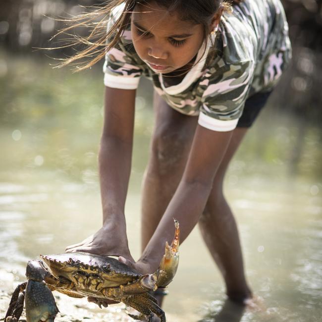 Mud Crabbing with Bolo, Kooljaman at Cape Leveque