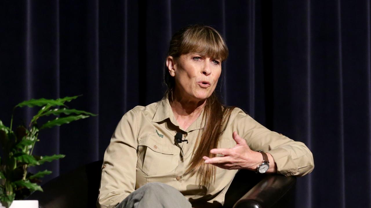‘Sloppy, lazy’: Terri Irwin unleashes