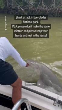 Florida man pulled overboard by shark