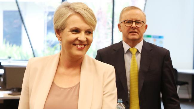 Tanya’s back! Star MP finally joins Albo amid benching rumours