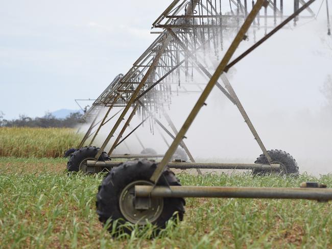 Irrigators take council back to court over water dispute