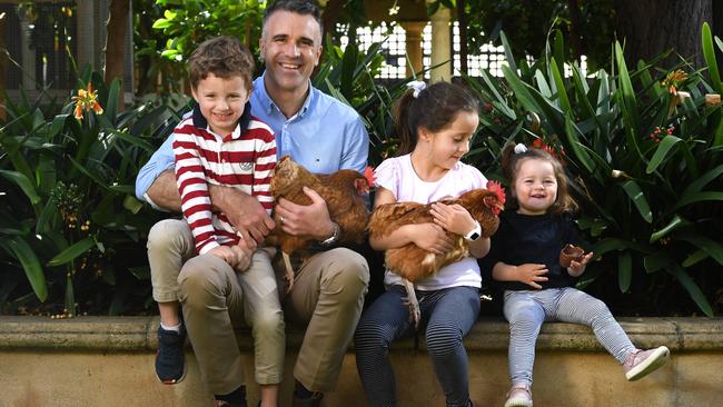 Peter Malinauskas with Jack, 4, Sophie 6, Eliza, 18 months, and pet chooks Sarah and Poppy. Picture: Tricia Watkinson