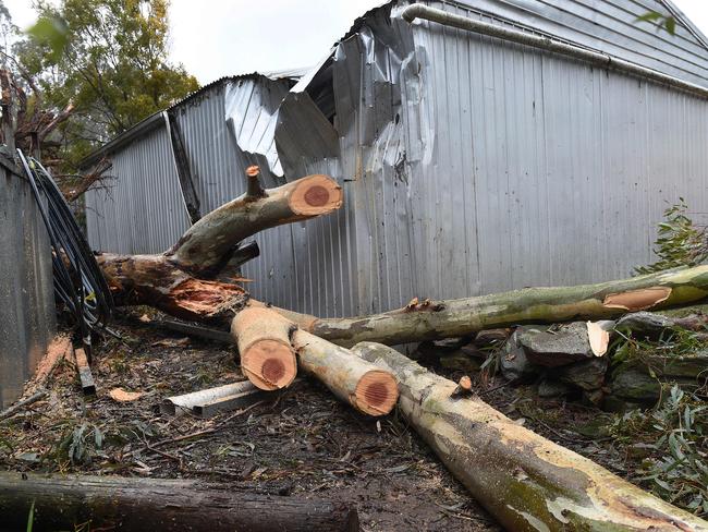 A shed destroyed by a fallen tree in Balhannah, during the storms. Picture: Roger Wyman