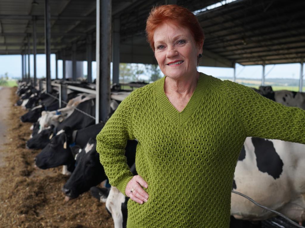 Pauline Hanson at a dairy farm in Singleton. Picture: Sean Bell