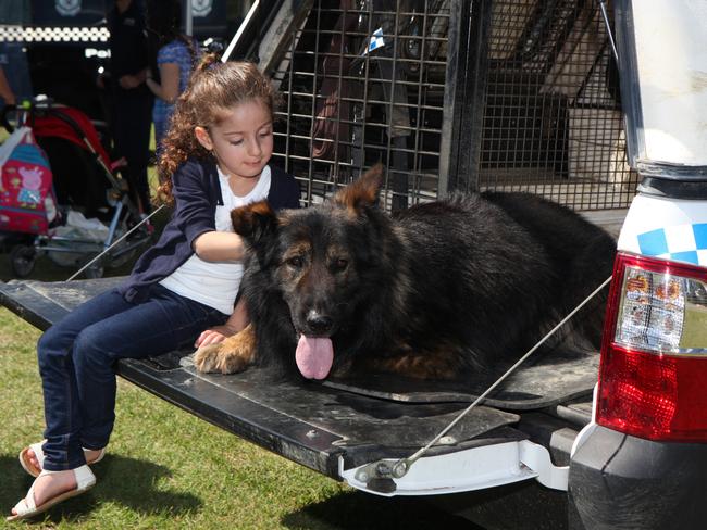 Police dog Demon was a favourite with the kids. Photos: Robert Pozo