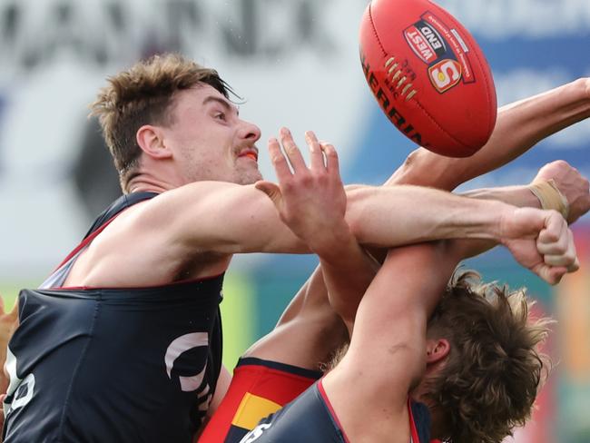 Harry Boyd from Norwood contests the ruck during the Round 14 SANFL match between Norwood and Adelaide at Norwood Oval in Adelaide, Saturday, July 13, 2024. (SANFL Image/David Mariuz)