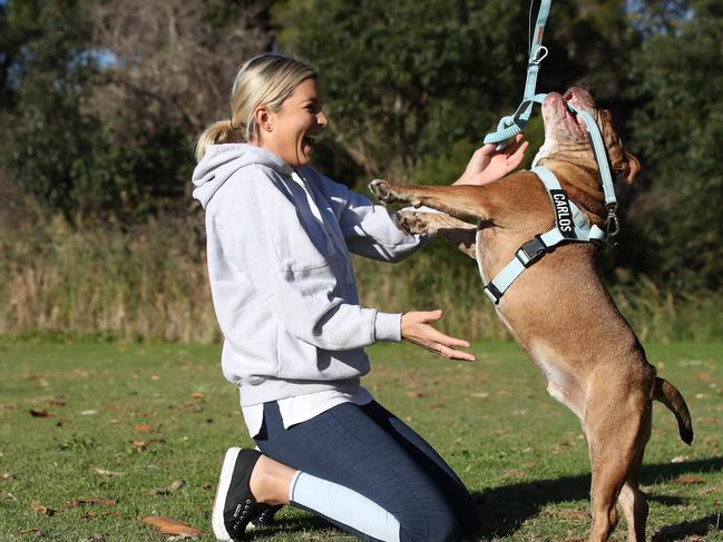 It’s best to ask if you can pat your neighbour’s dog. Picture: David Swift