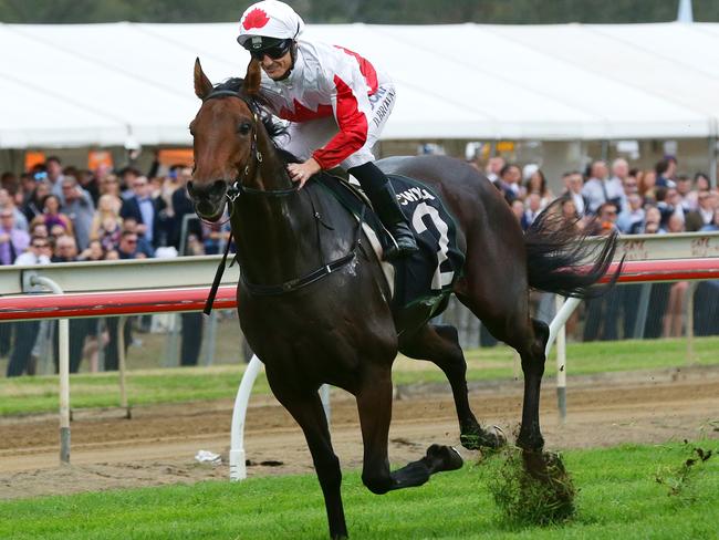 Maurus and jockey Damian Browne make easy work of their rivals in the Ipswich Cup. Picture: Liam Kidston