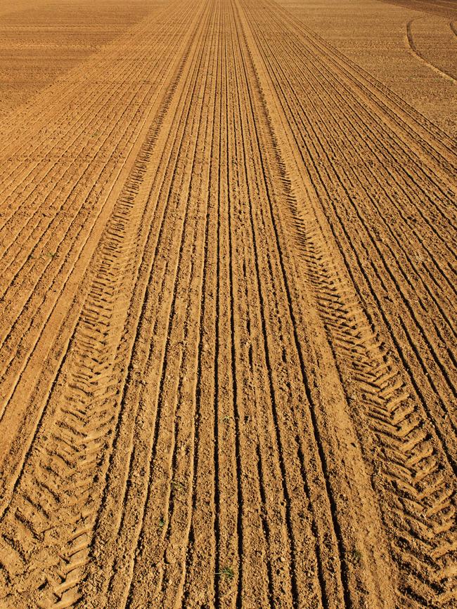 Australia’s barley exports to China face a tarfiff hit. Picture: Zoe Phillips