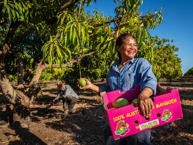 Tou Ruchkaew and her husband Ian Quin at their mango farm Tou's Garden outside Darwin.