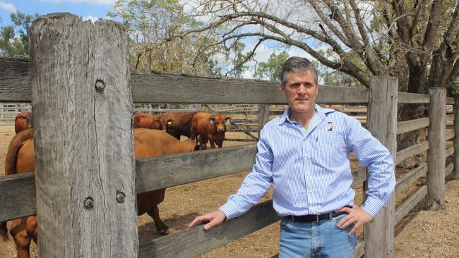 Agforce chief executive Michael Guerin.