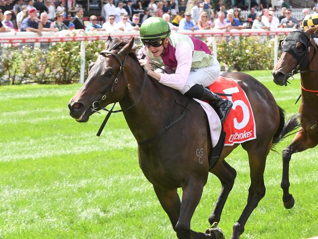 Mornington Glory wins the Lawn Rules Handicap at Moonee Valley. Picture: Brett Holburt-Racing Photos