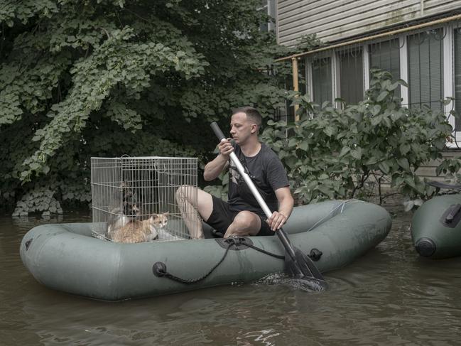 In Kherson, Ukraine, a volunteer rescues cats amid the devastation caused by the 19-day flooding from the breached Kakhovka Dam. The catastrophic event in June 2023 flooded thousands of homes and resulted in numerous fatalities. Picture: Johanna Maria Fritz/Die Zeit