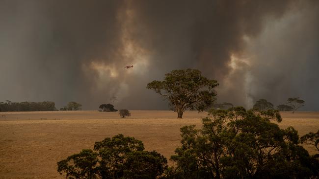 The Kangaroo Island fire as seen from near Parndana. Picture: Brad Fleet