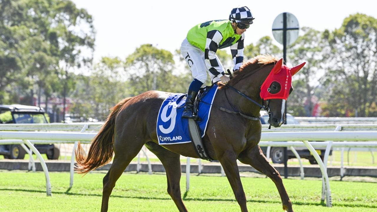 Randwick-Kensington preview: Strong hand has Maher in box seat