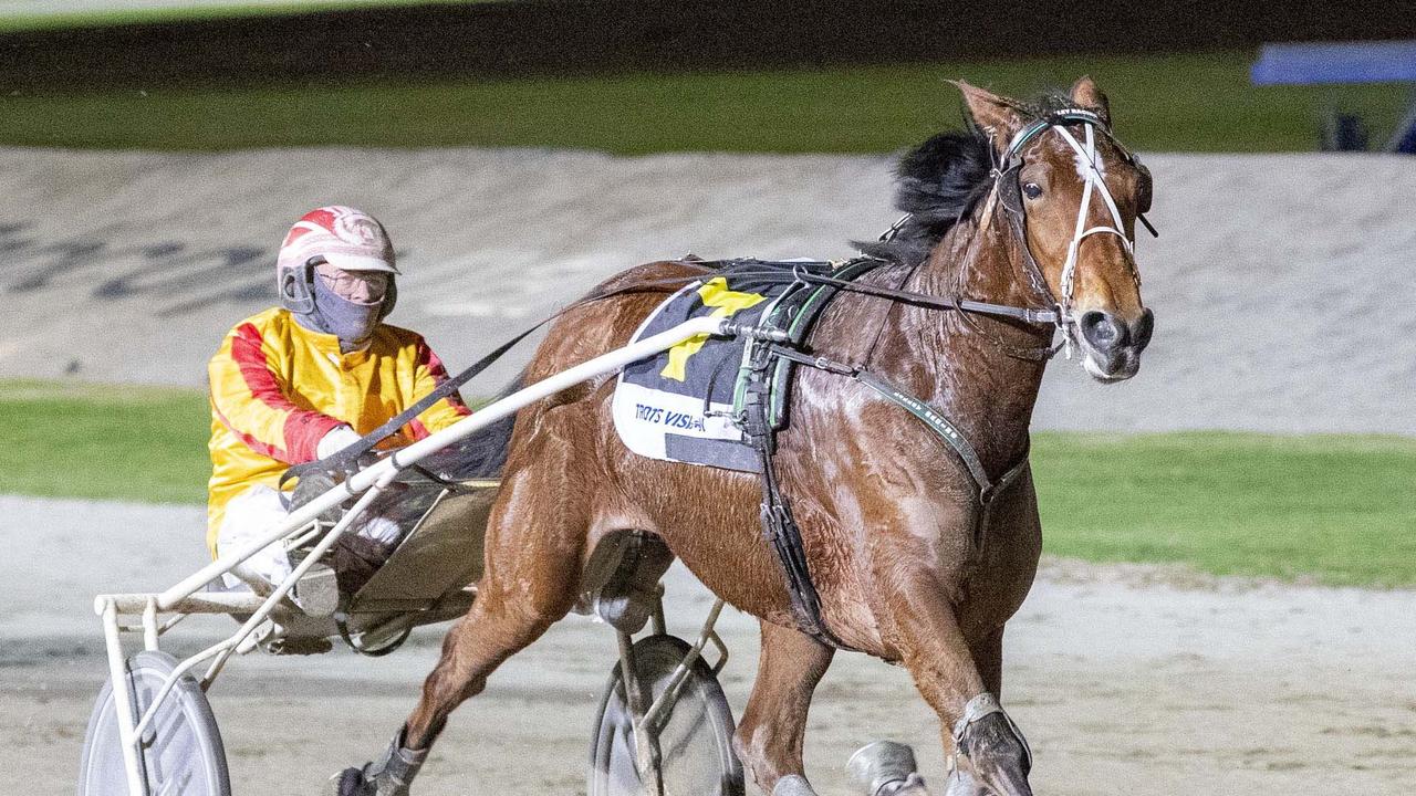 Victorian harness racing preview Queen Elida begins bid to conquer the