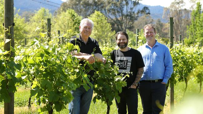 Otto Dal Zotto with his sons Christian and Michael in their vineyard at Whitfield, in the King Valley. Picture: Andy Rogers