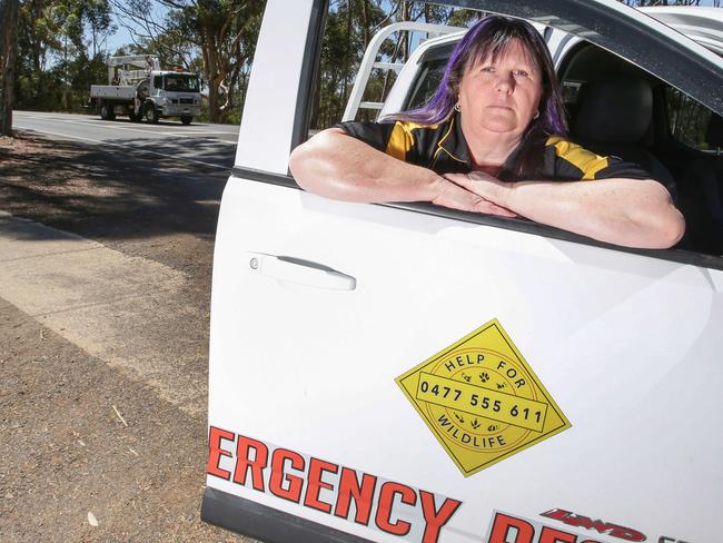 Help for Wildlife founder Sue Kirwan says call outs about feral deer have doubled in the last 12 months.