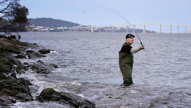 Luke Cordwell from FishTas enjoys a quick fish on the River Derwent in the lead up to the trout fishing season starting this weekend.