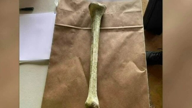 The discovery of a mysterious bone, which had washed up on Cottesloe Beach in Western Australia, has sparked an investigation. The exposed bone was found by an off-duty police officer on the sand, just north of the Indiana Tea House around 9am on Saturday.  Picture: Nine News