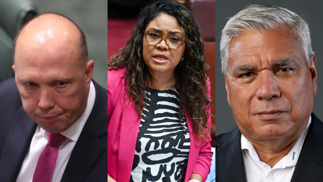 'Any idiot can say no': Dutton, Price and Mundine urged to find Voice alternative