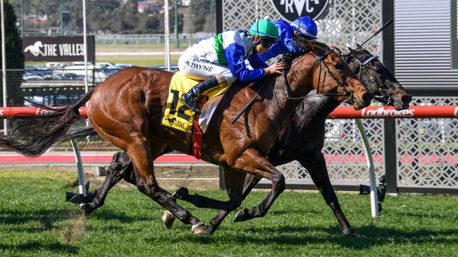 Michelle Payne wins the MSC Signs Plate at Moonee Valley Racecourse in 2018. Picture: Getty Images