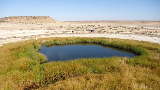 One of the mound springs in Wabma Kadarbu Mound Springs Conservation Park, which is between Marree and William Creek. This one is called Blanche Cup and the hill in the background is an extinct mound spring, Hamilton Hill. Picture: Friends of Mound Springs