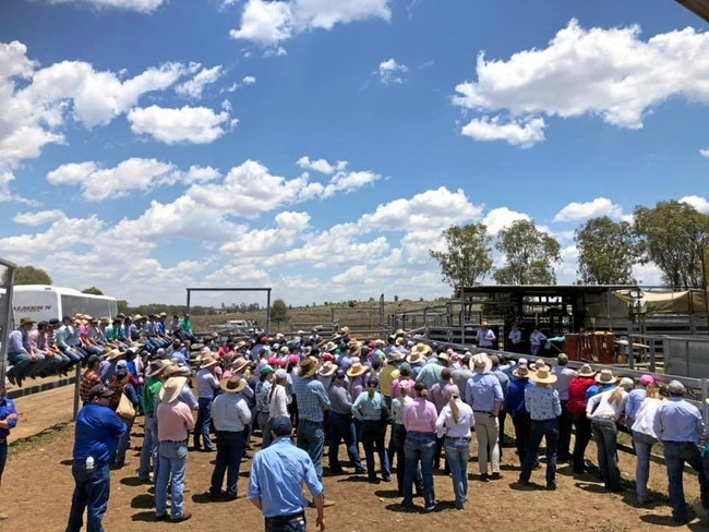 The Young Beef Producers Forum visited Glen Arden to see the improved yards on the property. Picture: supplied